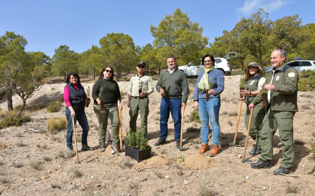 Plantación de 500 árboles por el Día de Andalucía como compromiso con la naturaleza a esta celebración