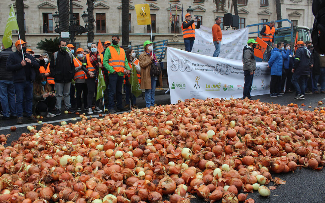 Valencia clama contra la injusticia: Por 18 kilos de naranjas se cobra lo que cuesta un café; por 37 kilos de cebollas se compra un champú