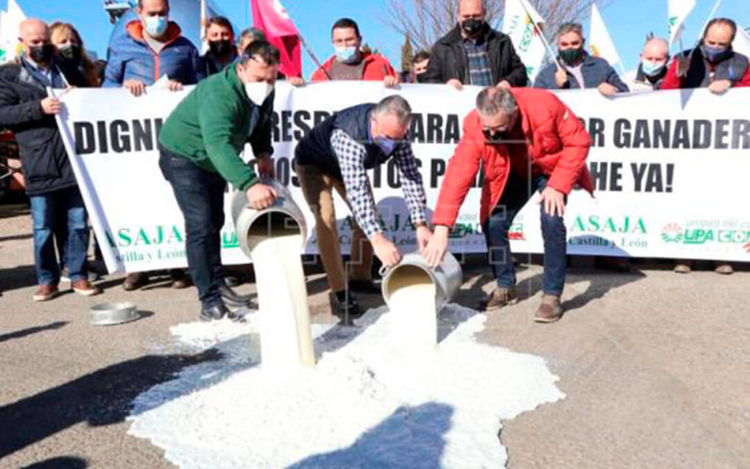 Nueva protesta láctea: Denuncian que los precios de la industria están por los suelos derramado leche ante sus instalaciones