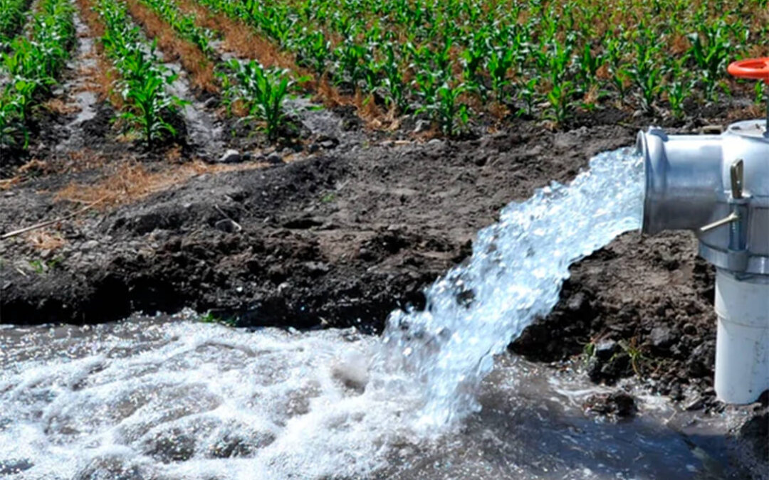 Día Mundial del Agua: “La protección del medio ambiente pasa por la protección de las aguas subterráneas”