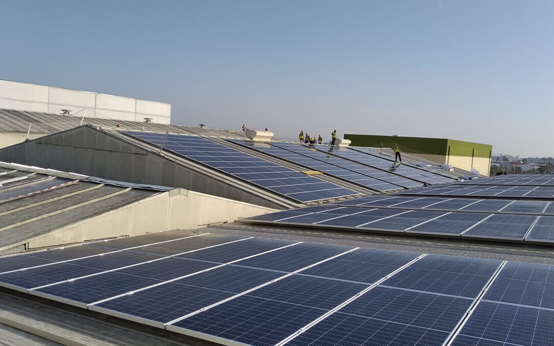 El Grupo Sovena se alía con EDP para potenciar su ahorro energético con una instalación fotovoltaica para autoconsumo
