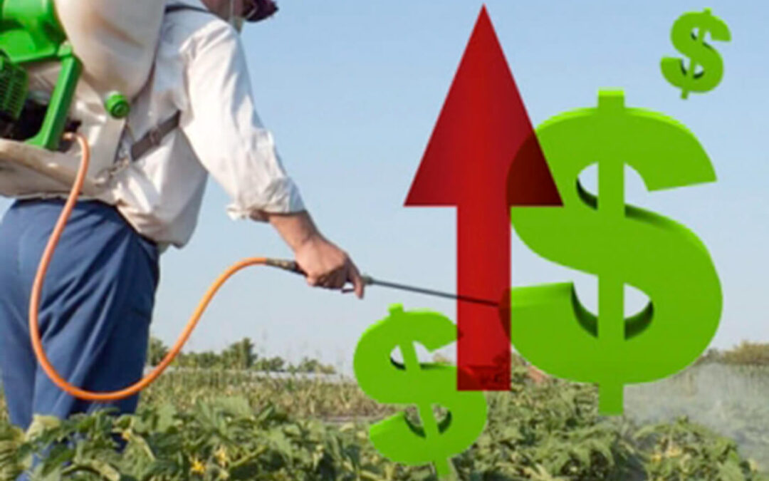 Las cuentas no cuadran: O los costes se reducen en al menos un 70% en el sector agrario o la producción no será viable