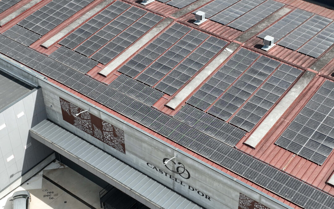 Castell d’Or avanza hacia la sostenibilidad con una nueva planta fotovoltaica de 670 m2 de paneles solares