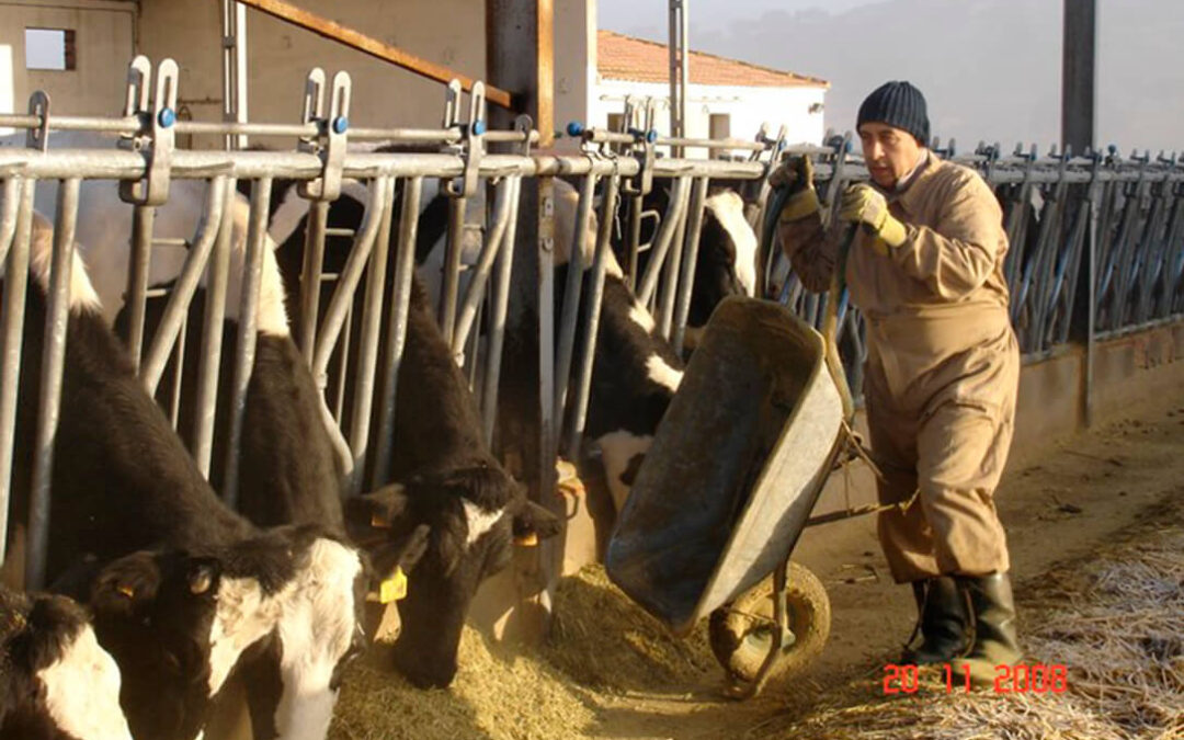 El Ministerio anuncia que las ayudas extraordinarias al sector lácteo llegarán en las próximas semanas