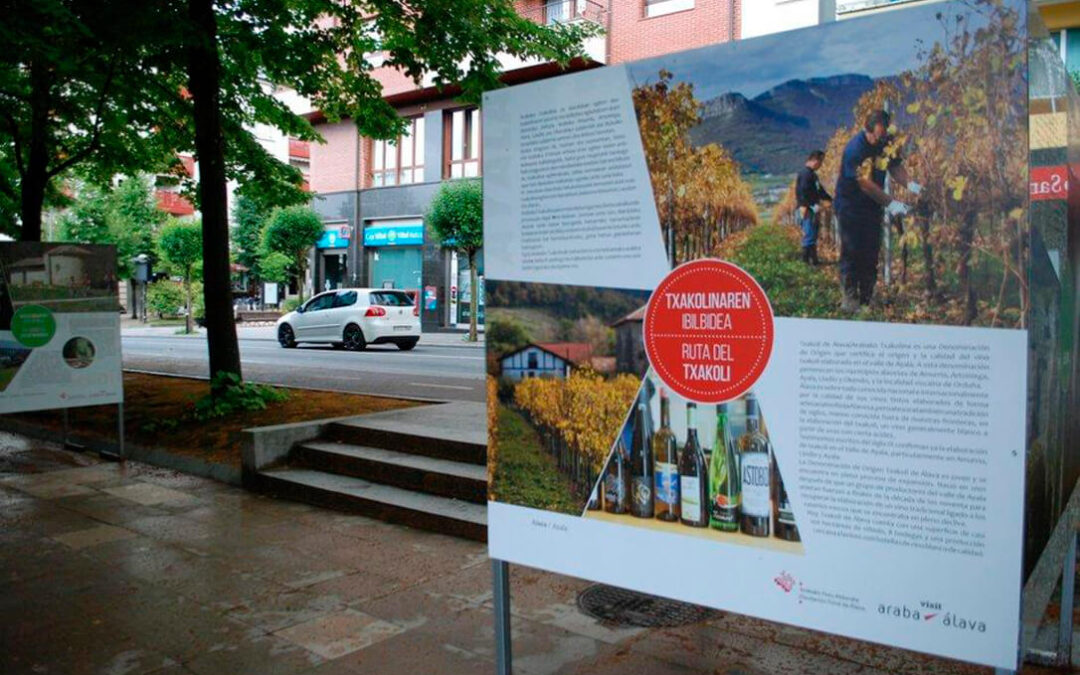 La Ruta del Txakoli se incorpora a las Rutas del Vino de España traas el visto bueno de Acevin