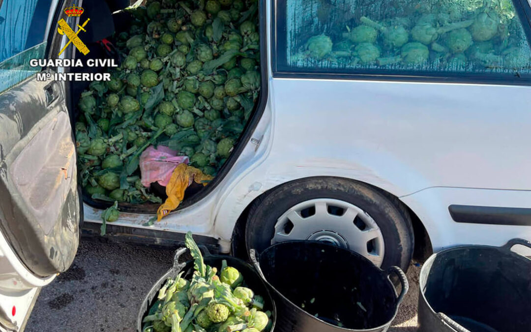 Diez detenidos por el robo de 7 toneladas de fruta y hortalizas que iban destinadas para la venta ambulante