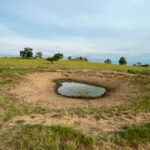 La sequía deja secas las charcas, por lo que piden medidas urgentes para garantizar el suministro de agua a la ganadería extensiva
