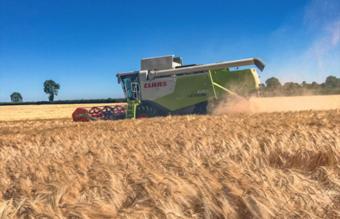 C-La Mancha espera una cosecha normal de cereales, aunque preocupa la actual ola de calor