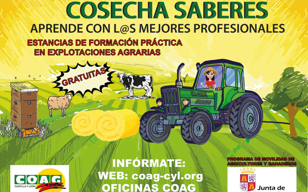 Programa de formación agraria de jóvenes a través de estancias en explotaciones de referencia de Castilla y León
