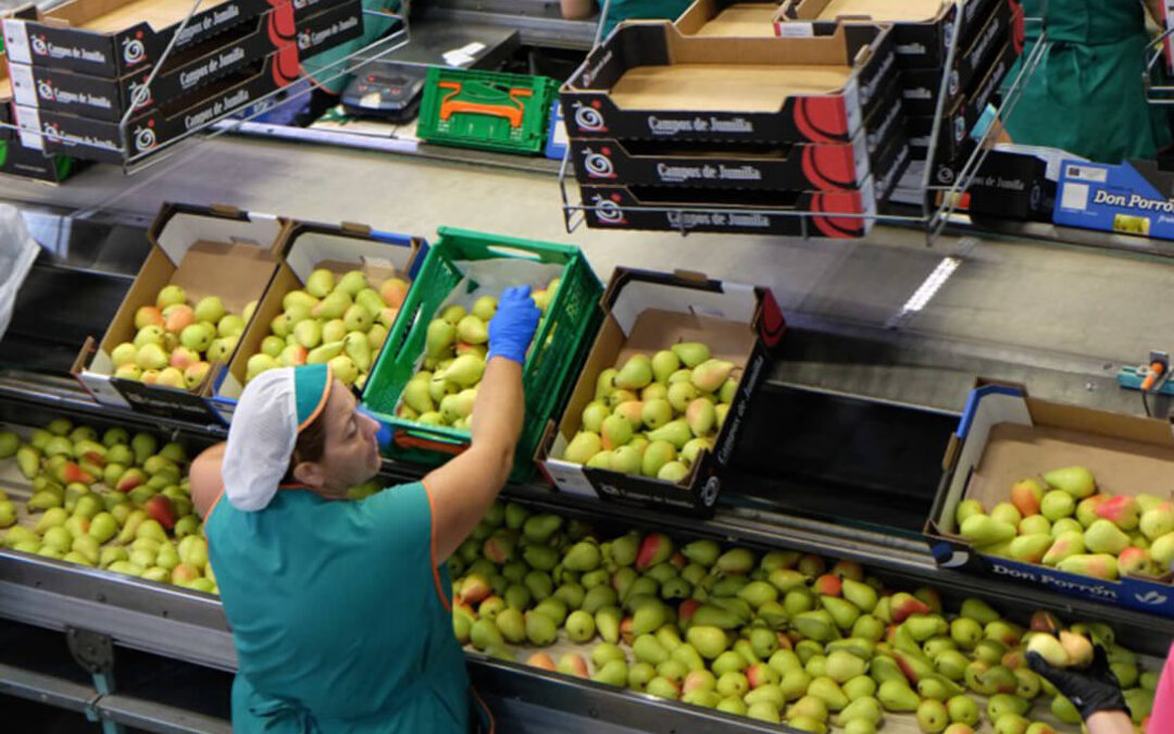 Cooperativas España pide no avanzar en la estrategia ‘De la granja a la mesa’ para garantizar la producción