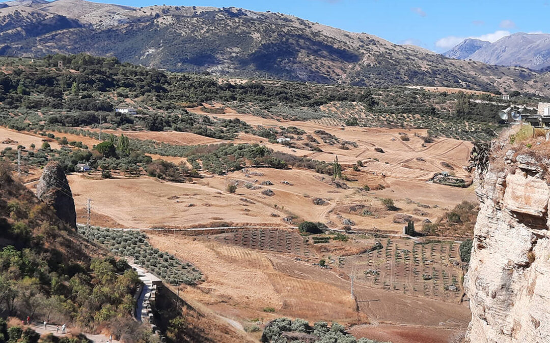 El valor medio de las explotaciones agrarias en España es de 384.619 euros según los datos del Valor Añadido Neto