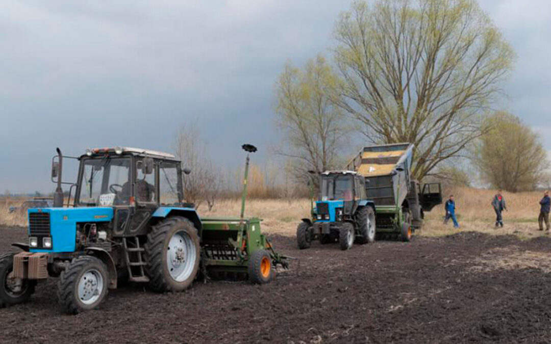 El ejército ruso roba el grano ucraniano para enviarlo a su país y Ucrania debe almacenar sus cereales por falta de transporte
