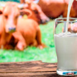 Registrada la primera organización española de productores específica de leche ecológica