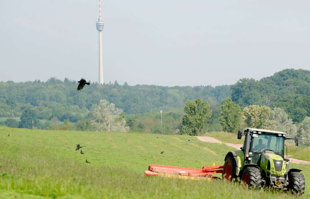 Los problemas de la nueva PAC: Alemania se suma a pedir frenar su aplicación y suspender las reglas de rotación de cultivos