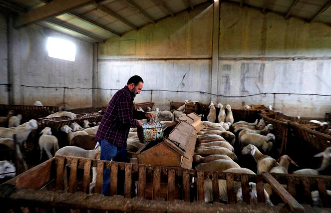 Europa estudia utilizar fondos de Desarrollo Rural para pagar hasta 15.000 euros a cada agricultor y ganadero por la subida de costes