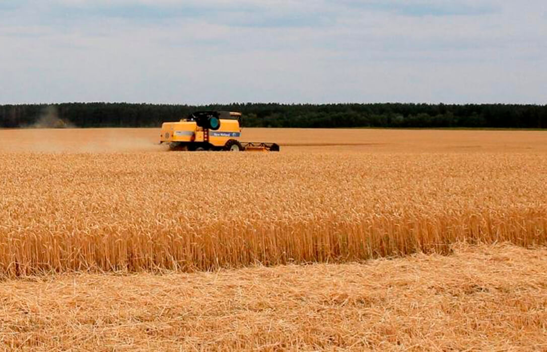 Rusia chantajea al mundo y deja claro que no exportará ni cereales ni fertilizantes mientras haya sanciones