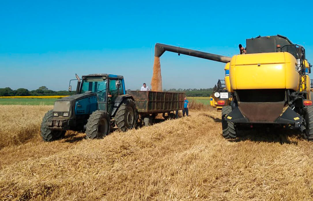 El sector cerealista andaluz pide a la Junta que autorice las quemas agrícolas al menos en un 50%