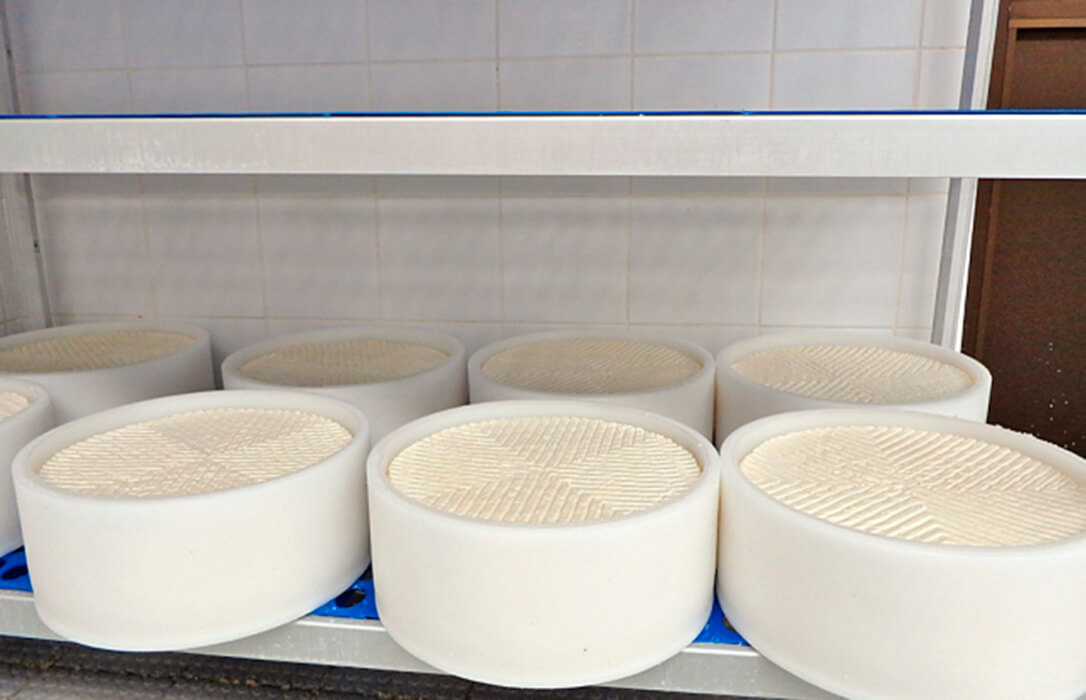 Large sinks and surfaces make up dairy farms and especially small and medium sized dairies