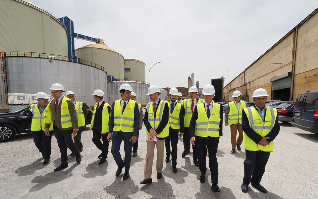 ENSO y ACOR crearán el mayor proyecto de cogeneración con biomasa en España