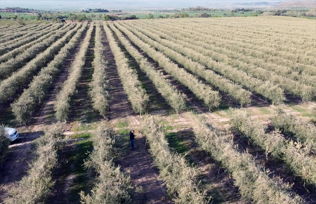 Nace AgroGEO, la APP de geolocalización agrícola para facilitar y digitalizar la labor en los campos de cultivo