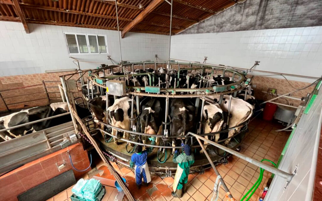Un ganadero, condenado a pagar 90.000€ a la industria láctea por costas tras peder la demanda contra el cartel de la leche