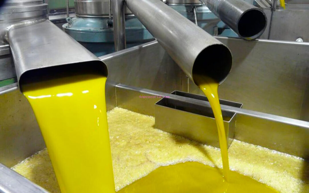 La recuperación del mercado del aceite de oliva y la apuesta por la calidad impulsan el volumen de negocio de las cooperativas