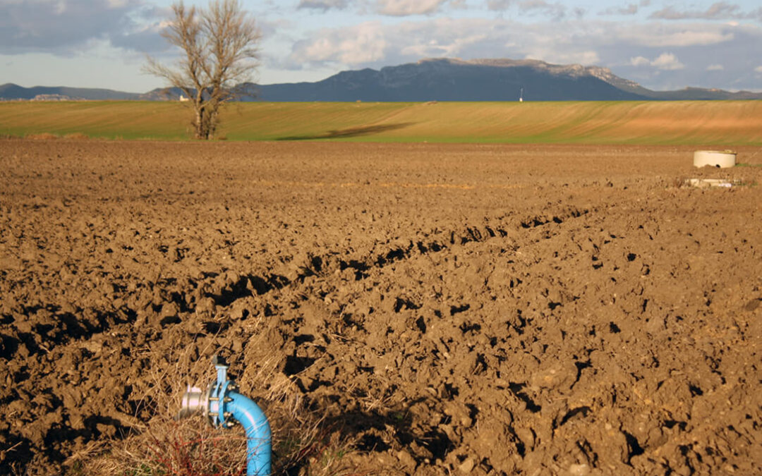 ‘España responde’ pero poco: Critican que las medidas aprobadas para apoyar a las explotaciones agrarias son inconsistentes
