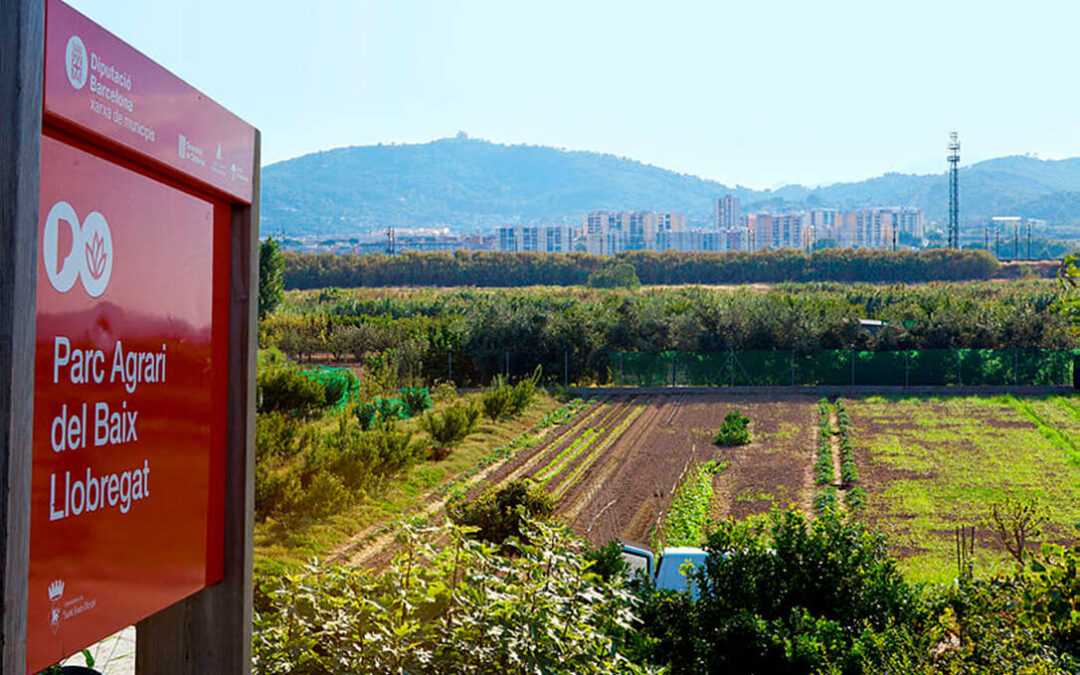Foment del Treball y el Institut Agrícola dan su apoyo al hub agroalimentario para repotenciar el Baix Llobregat