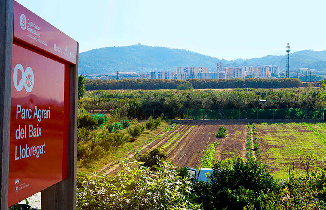 Foment del Treball y el Institut Agrícola dan su apoyo al hub agroalimentario para repotenciar el Baix Llobregat