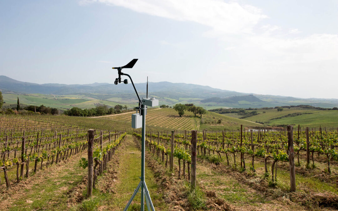 La gestión de riego al alcance del agricultor: IRRICROP, el primer sensor de radiación solar que calcula las pérdidas de agua