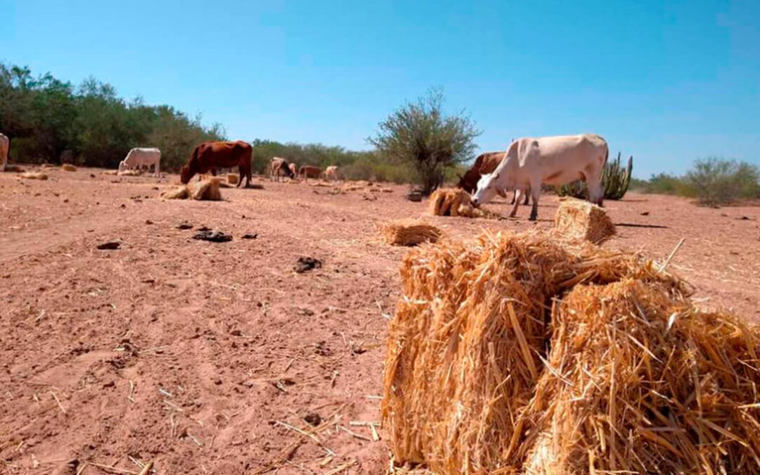 Agricultores y ganaderos, quienes más se juegan en el cambio climático