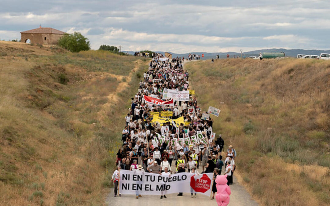 ‘Ni en tu pueblo ni en el mío’: Noviercas sale a la calle contra la mayor macrovaquería de Europa