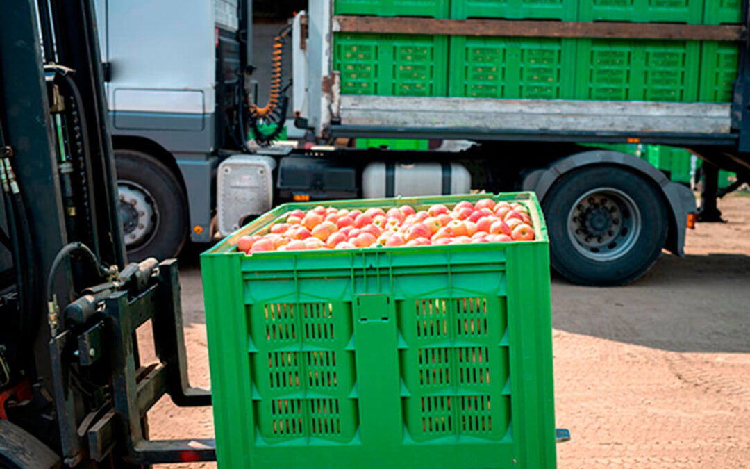 Paro del transporte: 450.000 toneladas de frutas y hortalizas perecederas se verán afectadas cada semana del mes de julio