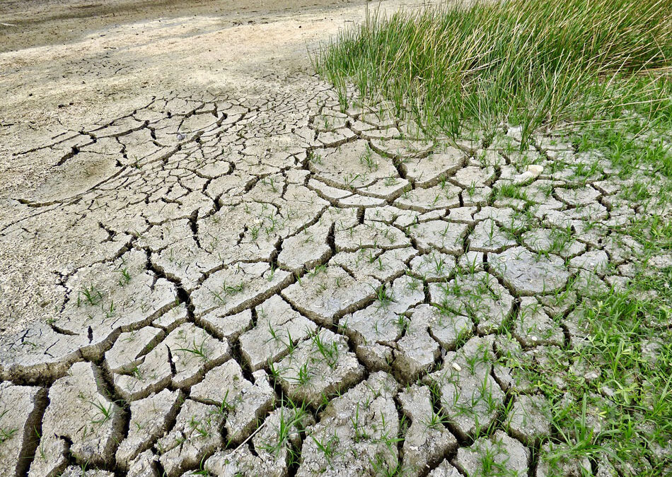 Andalucía urge al Estado a reunir de nuevo a la Mesa Nacional de la Sequía para abordar la problemática actual