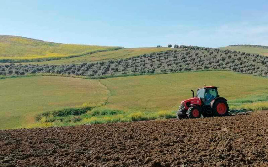 Las ayudas a la modernización de la Junta andaluza se quedan cortas y dejan fuera a 4.000 agricultores y ganaderos