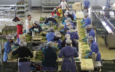 El cooperativismo agroalimentario ensalza el beneficio social y económico de apoyar un modelo 100% sostenible y de la tierra