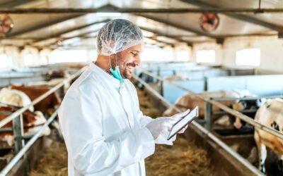 Las pieles de vacuno de carne podrán ser certificadas por el sello Compromiso Bienestar Animal