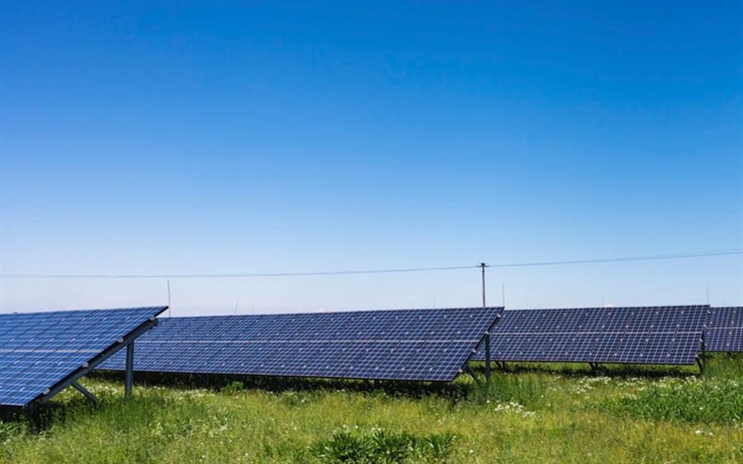 La convivencia es posible: Empresas agrarias y energéticas piden impulsar las renovables sin doble filo