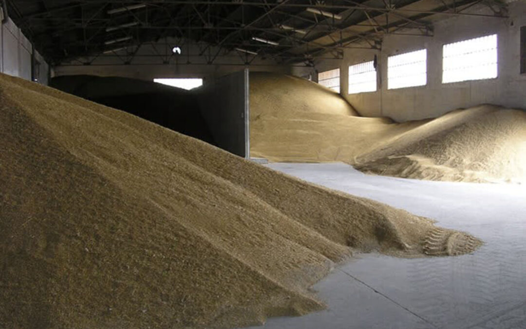 Ya se empieza a notar el acuerdo para exportar cereal ucraniano, con bajadas leves en la lonja del Ebro