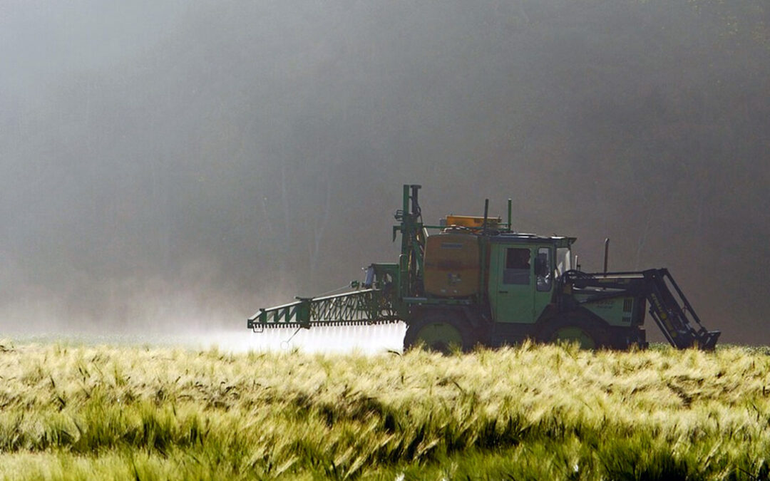 Normativa de pesticidas,: Reducción sin alternativas solo es marketing ecologista