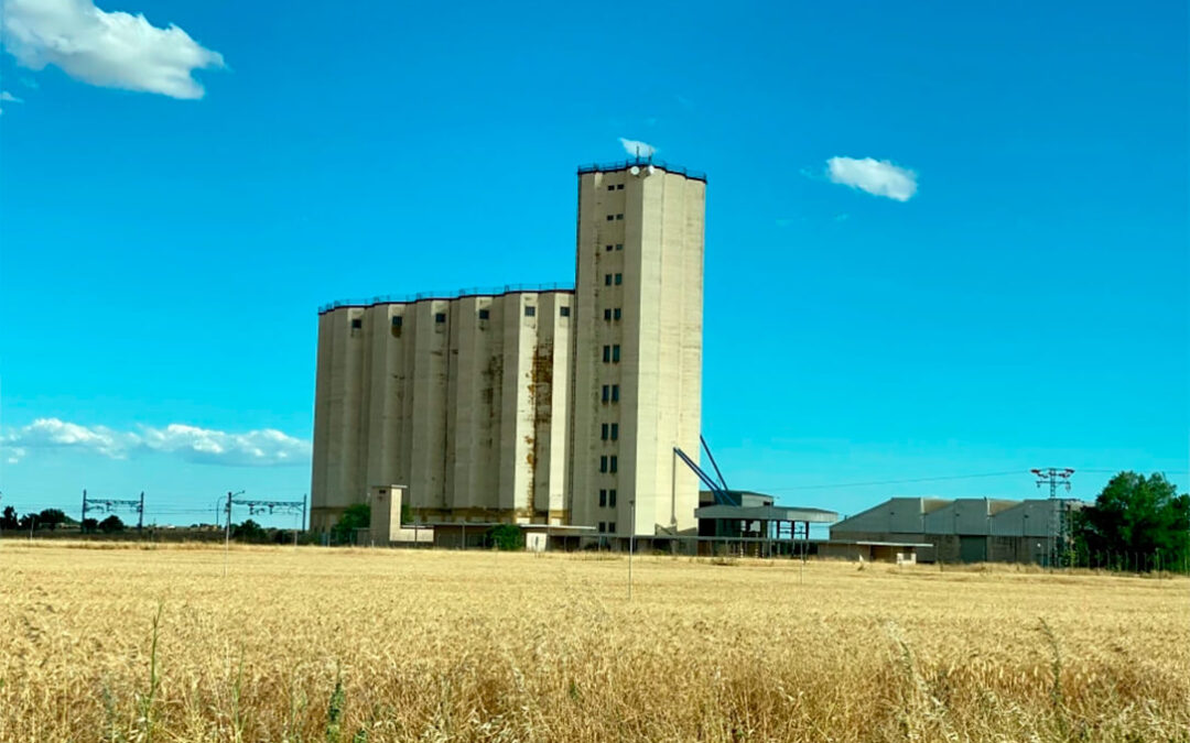 Castilla-La Mancha pone a disposición del Gobierno su red de silos regional como almacén intermedio para el grano ucraniano