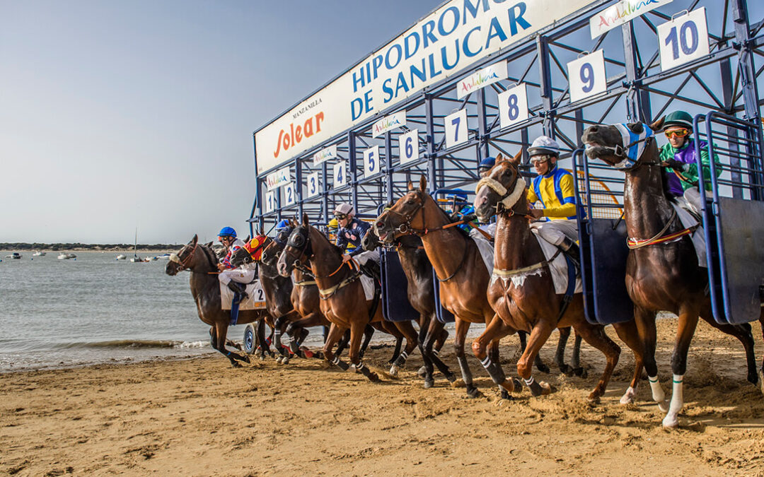 Regresan las carreras de caballos en la playa de la mano de Barbadillo y la Capitalidad Española de la Gastronomía