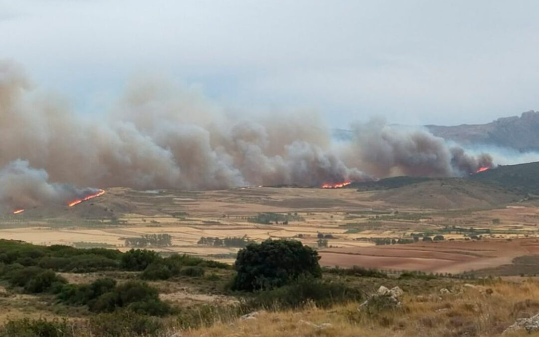 Los ingenieros técnicos y peritos agrícolas de Aragón ofrecen sus servicios a los afectados por el incendio de Moncayo