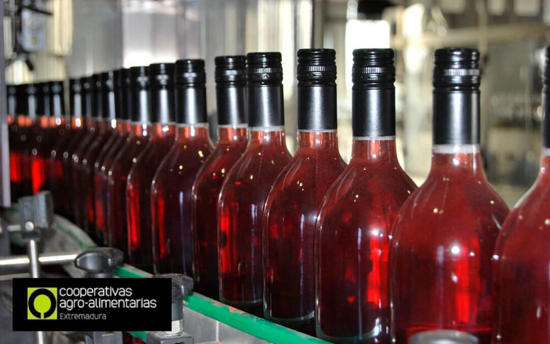 Cooperativas Extremadura estima una producción de tres millones de hectolitros de vino y mosto en esta vendimia