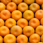 La UE intercepta los primeros envíos de naranjas y mandarinas sudafricanas de la campaña infestadas de falsa polilla y mancha negra