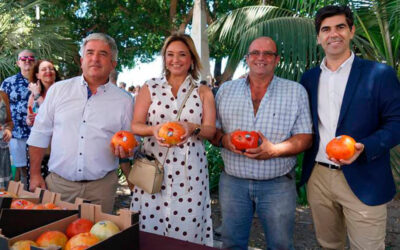 Lote del mejor tomate huevo de toro alcanza un precio récord de 4.000 euros