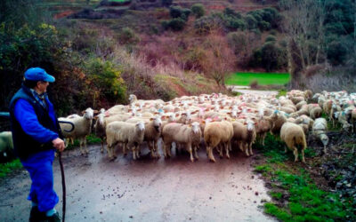 Los ingenieros agrónomos insisten en que el medio rural es una pieza clave de la seguridad alimentaria
