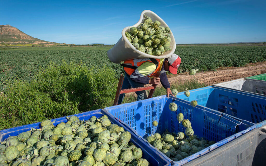 La CE aprueba excepciones a la normativa hortofrutícola sobre el valor de la producción comercializada y las ayudas por la guerra en Ucrania