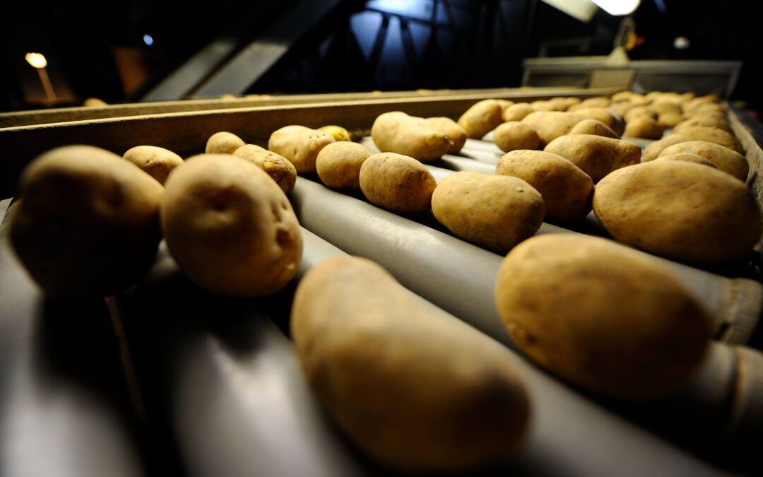Grupo Intersur instala en Tordesillas su segundo hub productor de patata nueva