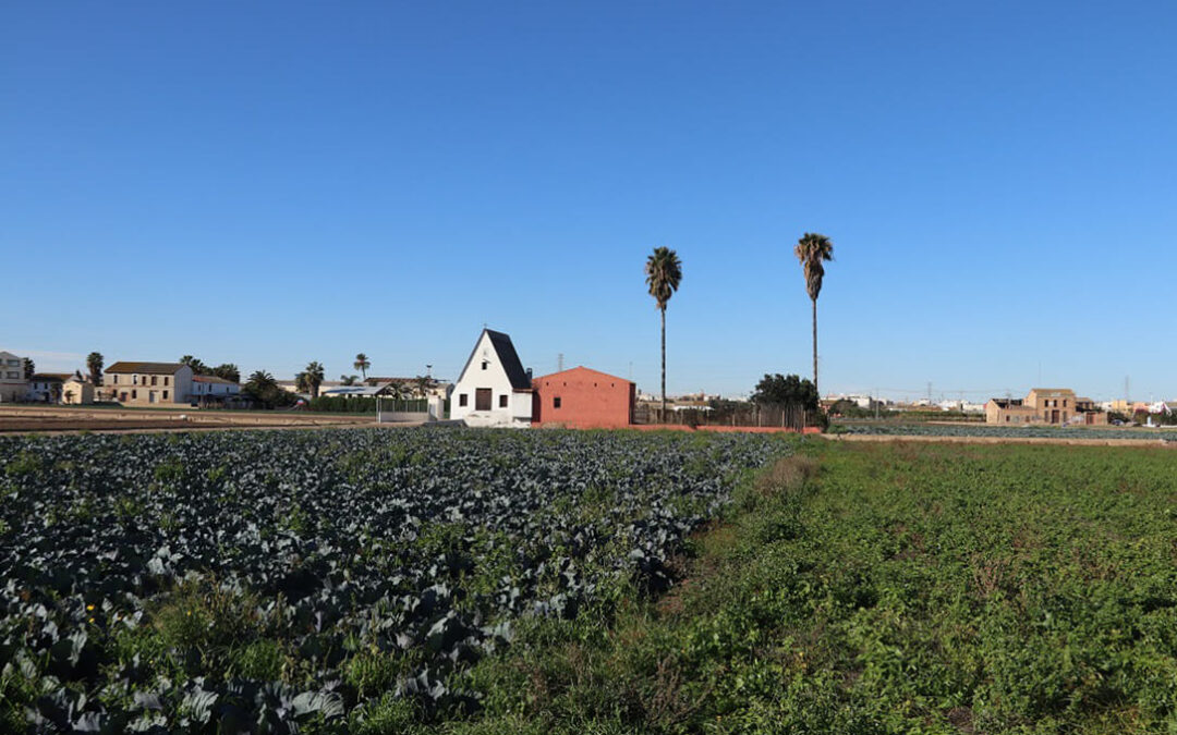 Un estudio analiza el cambio de València hacia un modelo agroalimentario más sostenible